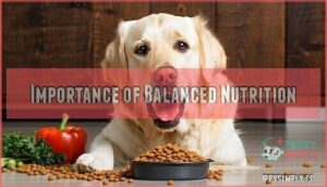 importance of balanced nutrition