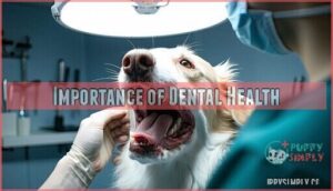 importance of dental health