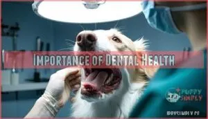 importance of dental health
