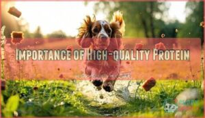 importance of high-quality protein