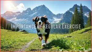 importance of regular exercise