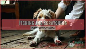 itching and scratching