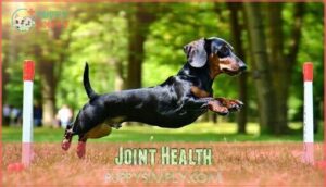 joint health