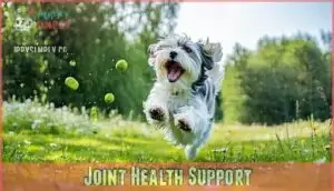 joint health support joint health support