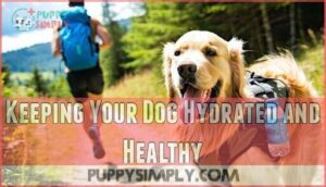 keeping your dog hydrated and healthy