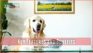 key features and benefits