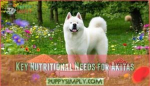 key nutritional needs for akitas