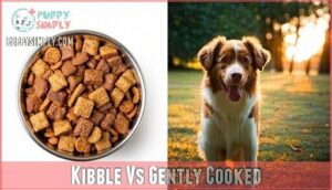 kibble vs gently cooked