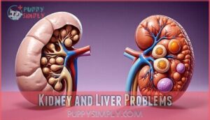 kidney and liver problems