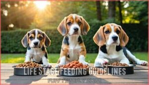 life stage feeding guidelines