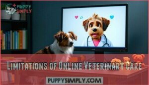 limitations of online veterinary care
