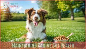 maintaining canine gut health
