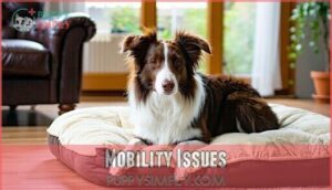 mobility issues