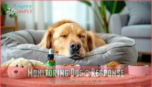 monitoring dog's response
