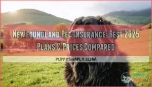 newfoundland pet insurance