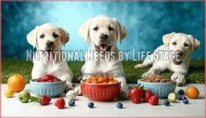 nutritional needs by life stage nutritional needs by life stage