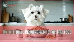 nutritional requirements for maltese nutritional requirements for maltese