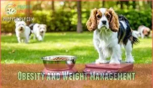 obesity and weight management