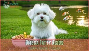 omega fatty acids