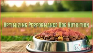 optimizing performance dog nutrition