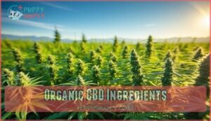 organic cbd ingredients