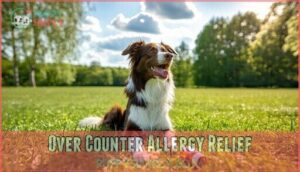over counter allergy relief
