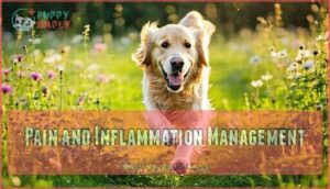pain and inflammation management