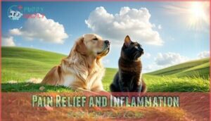 pain relief and inflammation