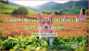 pembroke welsh corgi pet insurance