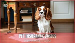 pet insurance basics