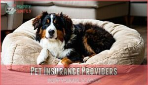 pet insurance providers