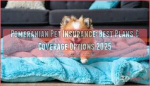 pomeranian pet insurance