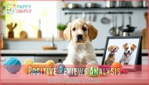 positive reviews analysis