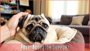 post-adoption support