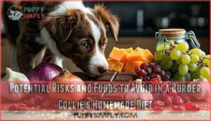 potential risks and foods to avoid in a border collie's homemade diet