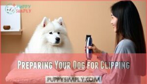 preparing your dog for clipping