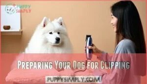 preparing your dog for clipping