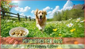 probiotics for dogs