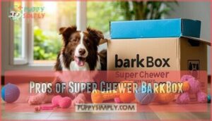 pros of super chewer barkbox