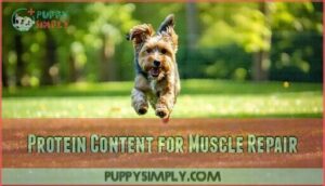 protein content for muscle repair