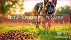 protein requirements for belgian malinois