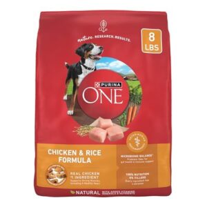 Purina ONE Chicken and Rice B0000AH3QT