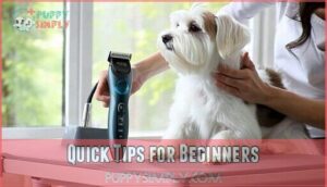 quick tips for beginners