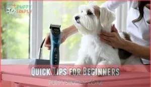 quick tips for beginners