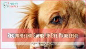 recognizing signs of eye problems