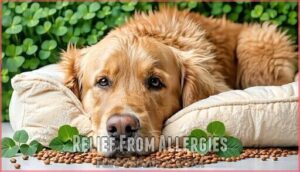 relief from allergies