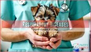 respiratory diseases