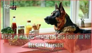 risks of making homemade dog food for my belgian malinois risks of making homemade dog food for my belgian malinois