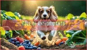role of antioxidants