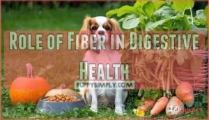 role of fiber in digestive health